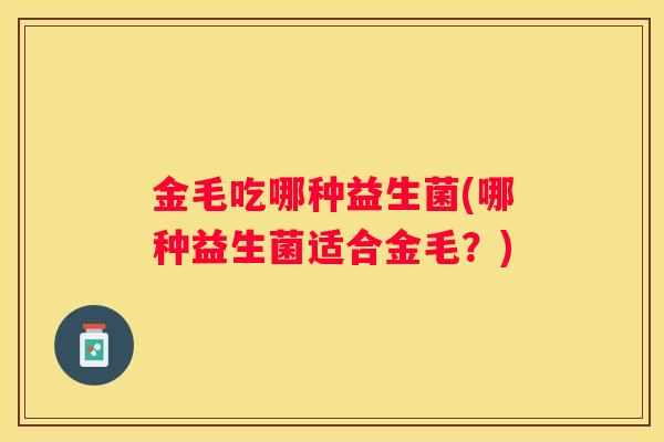 金毛吃哪种益生菌(哪种益生菌适合金毛？)