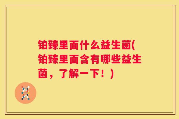 铂臻里面什么益生菌(铂臻里面含有哪些益生菌，了解一下！)
