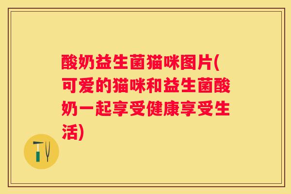 酸奶益生菌猫咪图片(可爱的猫咪和益生菌酸奶一起享受健康享受生活)