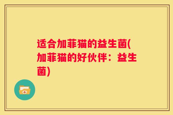 适合加菲猫的益生菌(加菲猫的好伙伴：益生菌)