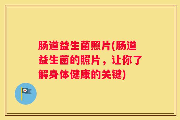 肠道益生菌照片(肠道益生菌的照片，让你了解身体健康的关键)