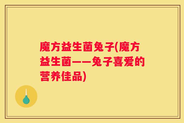 魔方益生菌兔子(魔方益生菌——兔子喜爱的营养佳品)