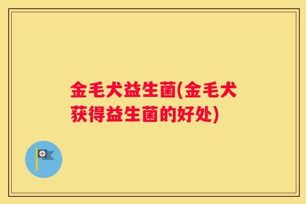 金毛犬益生菌(金毛犬获得益生菌的好处)