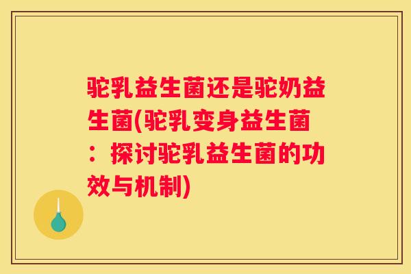 驼乳益生菌还是驼奶益生菌(驼乳变身益生菌：探讨驼乳益生菌的功效与机制)