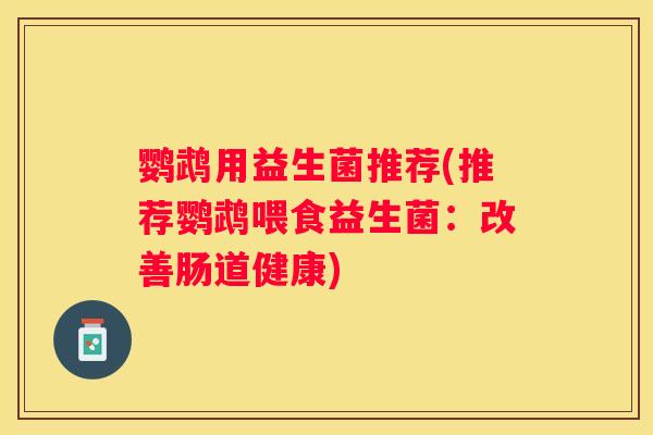 鹦鹉用益生菌推荐(推荐鹦鹉喂食益生菌：改善肠道健康)