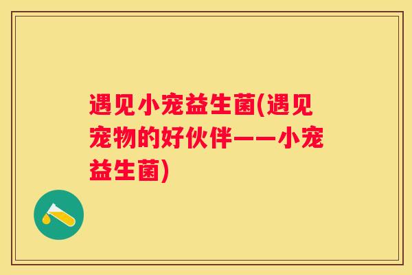 遇见小宠益生菌(遇见宠物的好伙伴——小宠益生菌)