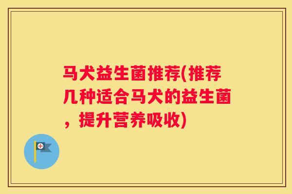 马犬益生菌推荐(推荐几种适合马犬的益生菌，提升营养吸收)