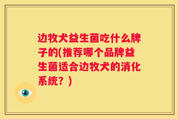 边牧犬益生菌吃什么牌子的(推荐哪个品牌益生菌适合边牧犬的消化系统？)