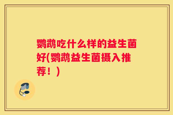 鹦鹉吃什么样的益生菌好(鹦鹉益生菌摄入推荐！)