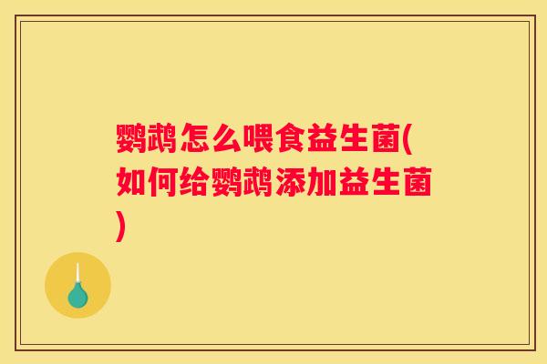 鹦鹉怎么喂食益生菌(如何给鹦鹉添加益生菌)