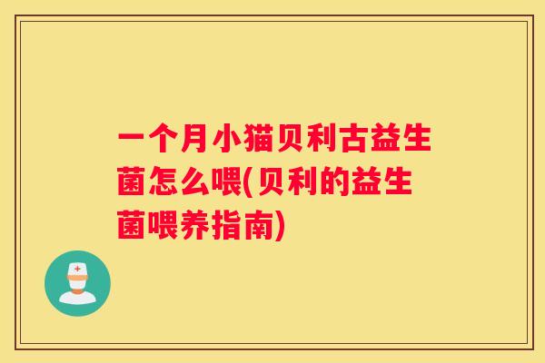 一个月小猫贝利古益生菌怎么喂(贝利的益生菌喂养指南)