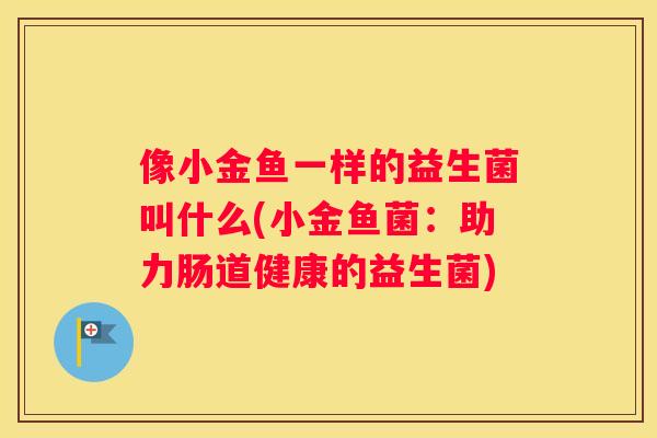 像小金鱼一样的益生菌叫什么(小金鱼菌：助力肠道健康的益生菌)