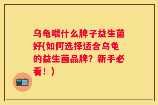 乌龟喂什么牌子益生菌好(如何选择适合乌龟的益生菌品牌？新手必看！)