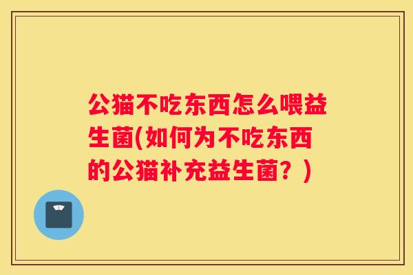 公猫不吃东西怎么喂益生菌(如何为不吃东西的公猫补充益生菌？)