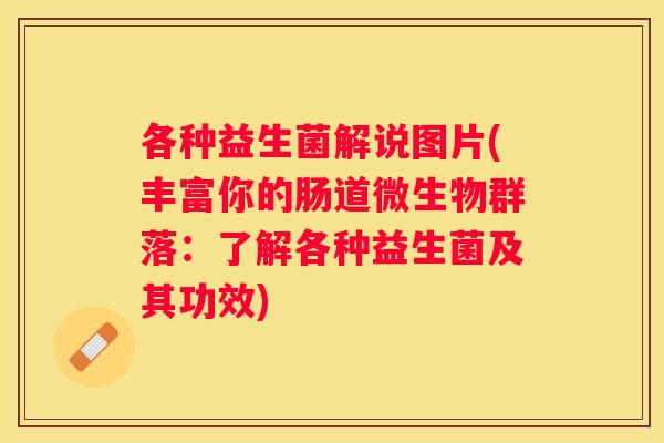 各种益生菌解说图片(丰富你的肠道微生物群落：了解各种益生菌及其功效)