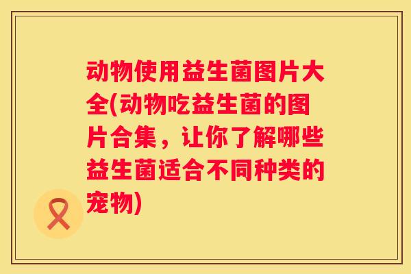 动物使用益生菌图片大全(动物吃益生菌的图片合集，让你了解哪些益生菌适合不同种类的宠物)