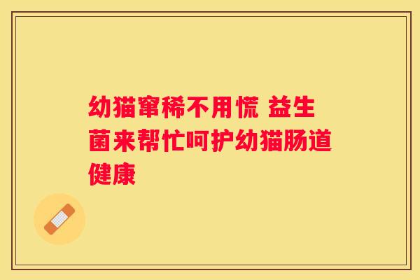 幼猫窜稀不用慌 益生菌来帮忙呵护幼猫肠道健康