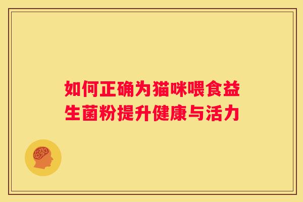 如何正确为猫咪喂食益生菌粉提升健康与活力