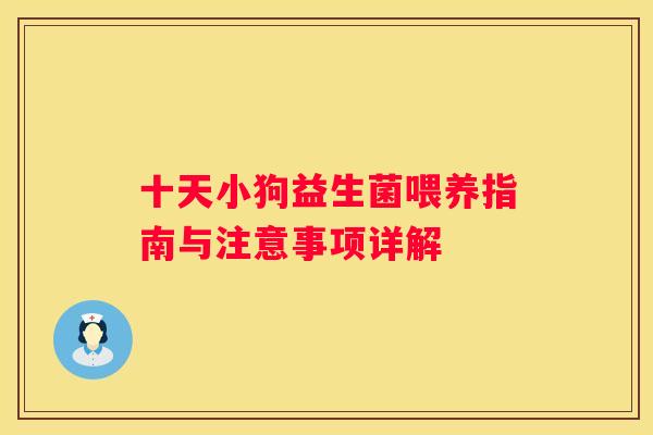 十天小狗益生菌喂养指南与注意事项详解