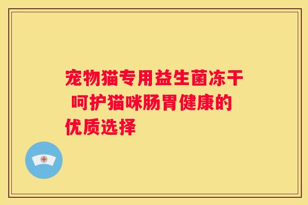 宠物猫专用益生菌冻干 呵护猫咪肠胃健康的优质选择