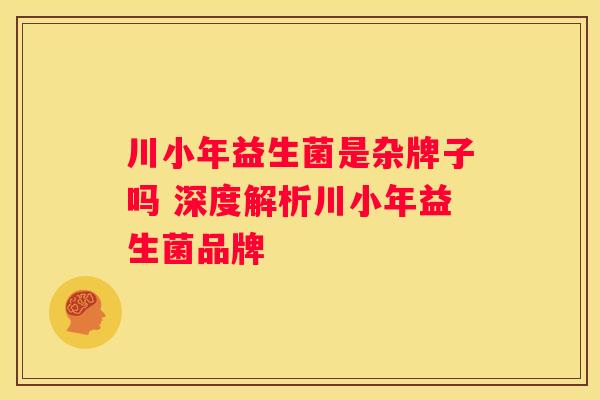 川小年益生菌是杂牌子吗 深度解析川小年益生菌品牌