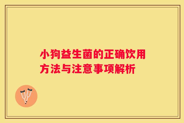 小狗益生菌的正确饮用方法与注意事项解析