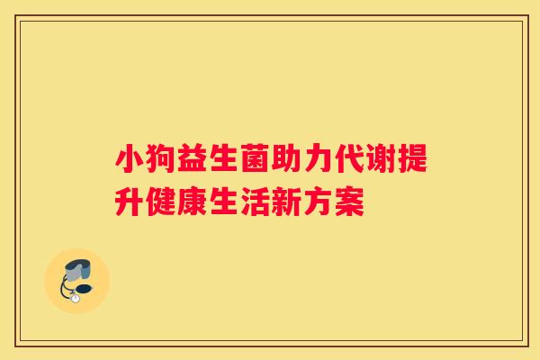 小狗益生菌助力代谢提升健康生活新方案