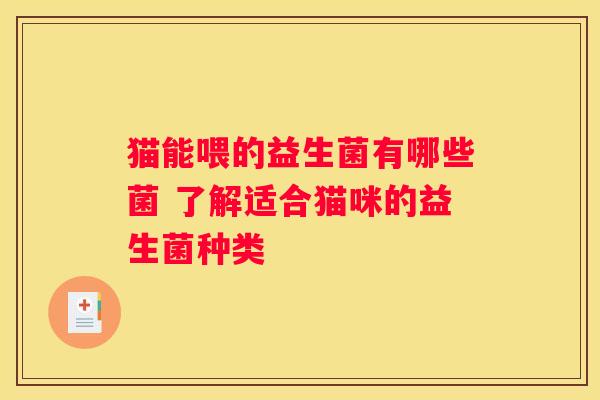 猫能喂的益生菌有哪些菌 了解适合猫咪的益生菌种类