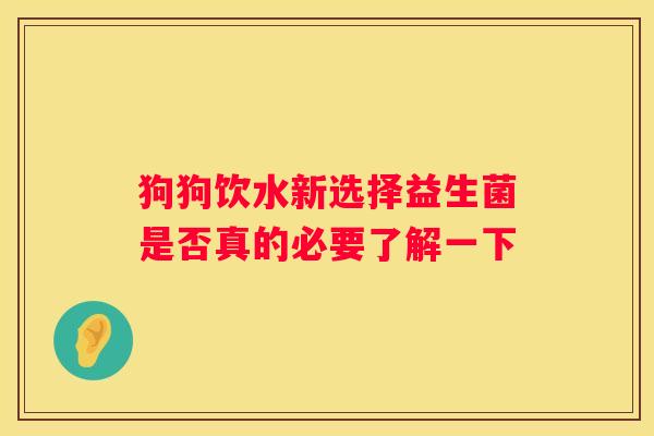 狗狗饮水新选择益生菌是否真的必要了解一下