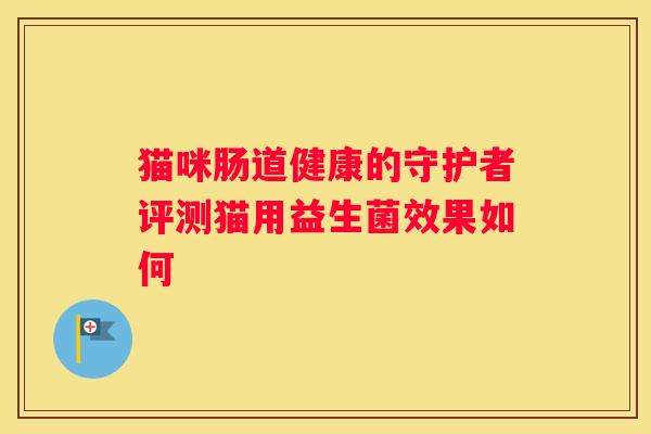 猫咪肠道健康的守护者评测猫用益生菌效果如何