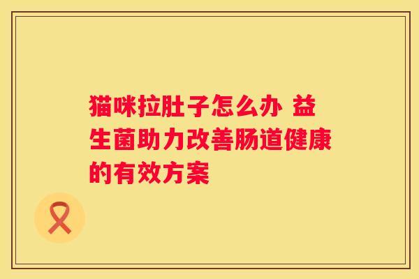 猫咪拉肚子怎么办 益生菌助力改善肠道健康的有效方案