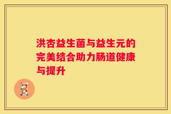 洪杏益生菌与益生元的完美结合助力肠道健康与提升