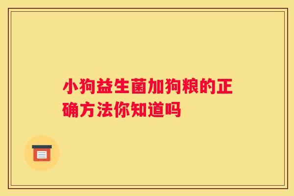 小狗益生菌加狗粮的正确方法你知道吗