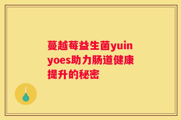 蔓越莓益生菌yuinyoes助力肠道健康提升的秘密