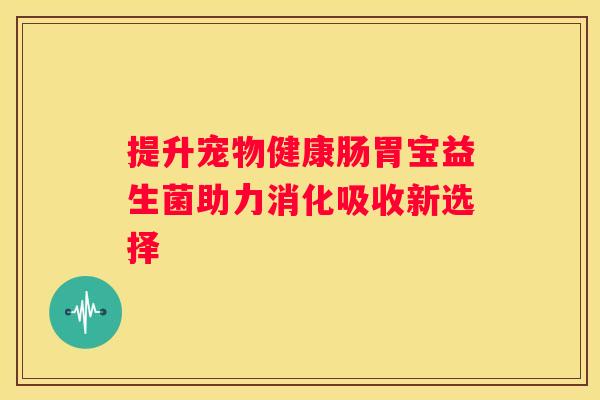 提升宠物健康肠胃宝益生菌助力消化吸收新选择