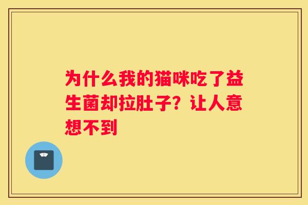 为什么我的猫咪吃了益生菌却拉肚子？让人意想不到