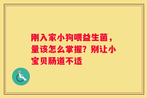 刚入家小狗喂益生菌，量该怎么掌握？别让小宝贝肠道不适