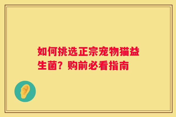 如何挑选正宗宠物猫益生菌？购前必看指南