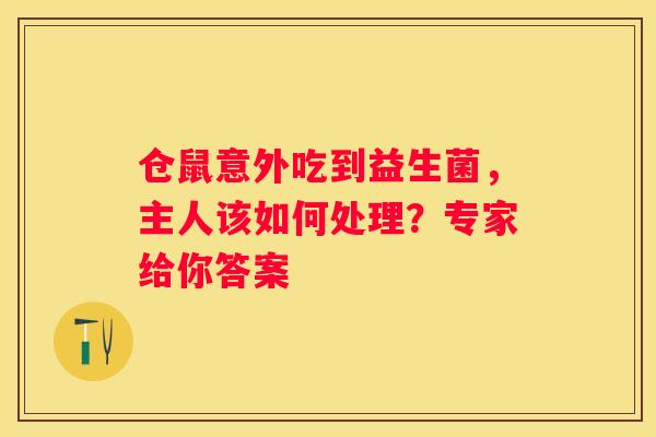 仓鼠意外吃到益生菌，主人该如何处理？专家给你答案