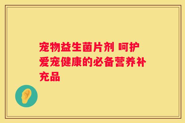 宠物益生菌片剂 呵护爱宠健康的必备营养补充品