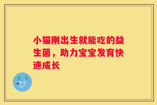 小猫刚出生就能吃的益生菌，助力宝宝发育快速成长