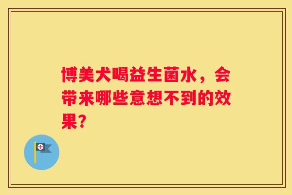 博美犬喝益生菌水，会带来哪些意想不到的效果？