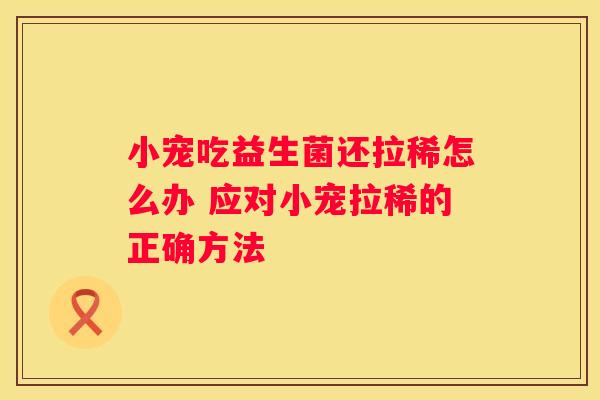 小宠吃益生菌还拉稀怎么办 应对小宠拉稀的正确方法