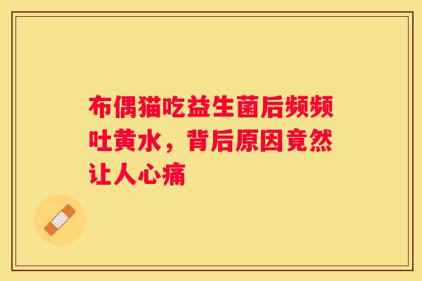 布偶猫吃益生菌后频频吐黄水，背后原因竟然让人心痛