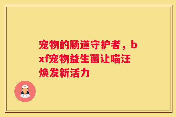 宠物的肠道守护者，bxf宠物益生菌让喵汪焕发新活力