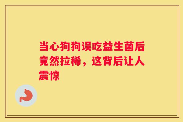 当心狗狗误吃益生菌后竟然拉稀，这背后让人震惊