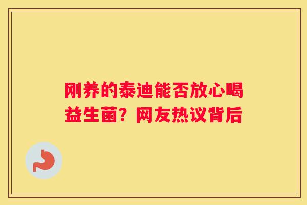 刚养的泰迪能否放心喝益生菌？网友热议背后