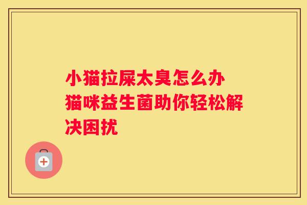 小猫拉屎太臭怎么办 猫咪益生菌助你轻松解决困扰