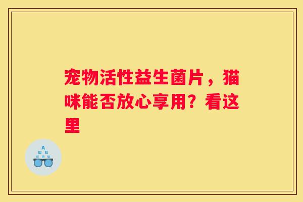宠物活性益生菌片，猫咪能否放心享用？看这里