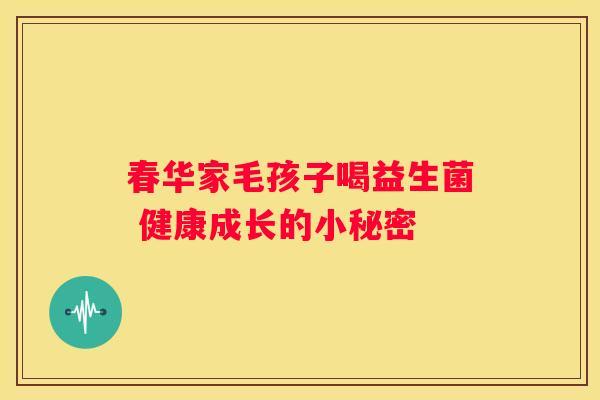春华家毛孩子喝益生菌 健康成长的小秘密